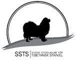 Svensk Tibetansk Spaniel