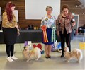 BIR - DK UCH LT CH SE UCH Pride Virol Desired Wish, BIM - Gamla Herrgåden Hulda.jpg