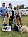 Tånga-24,2a Best in show.jpg
