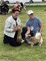 Tånga-24,2a Bästa Tibetanska Veteran.jpg