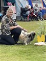 Tånga-24,3a Bästa Tibetanska Parklass.jpg
