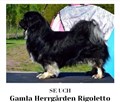 Gla Herrgårdens Rigoletto f. 2015.jpg