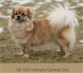 Kangris Ophelia Day f. 2012.jpg