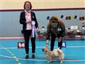 E-tuna 15 mars-25, BIS-valp, Gamla Herrgården Tip Top.jpg