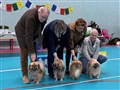 E-tuna 15mars-25, Bästa Uppfödarklass, Kennel Gamla Herrgården.jpg