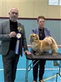 E-tuna 2025 BIR-veteran Knattings Twisted Thistle.jpg