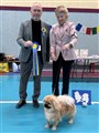 E-tuna 2025 Cert hane, Welladays Show-Biz.jpg